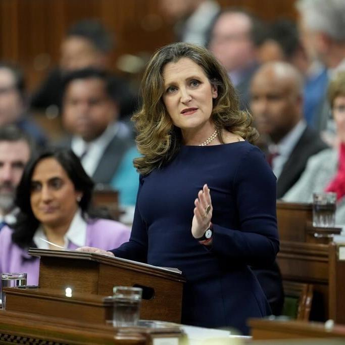 Some of the key highlights from the Liberal government's 2024 federal budget